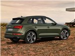 Audi Q5 (2021) вид сзади