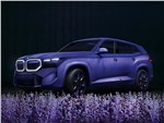 BMW XM Mystique Allure (2025)