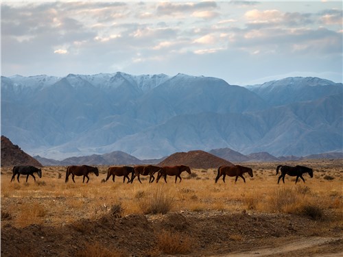 Горными пейзажами Киргизии можно любоваться бесконечно