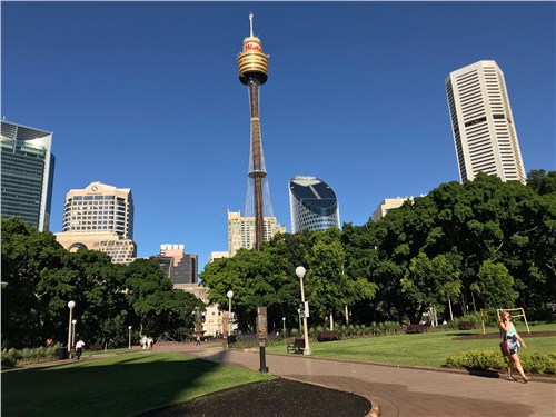 Сиднейскую башню можно увидеть издалека, а с нее видно еще дальше