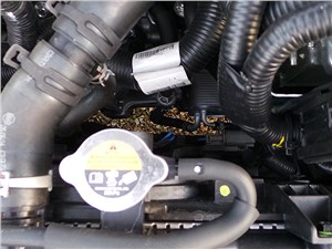 Предпросмотр nissan sentra 2013 двигатель