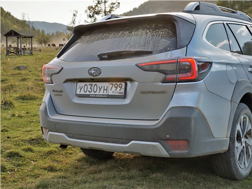 Subaru Outback (2020) вид сзади