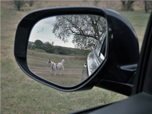 Mitsubishi Outlander (2021) боковое зеркало