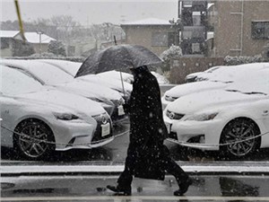 Toyota, Suzuki и Honda приостановили производство автомобилей в Японии