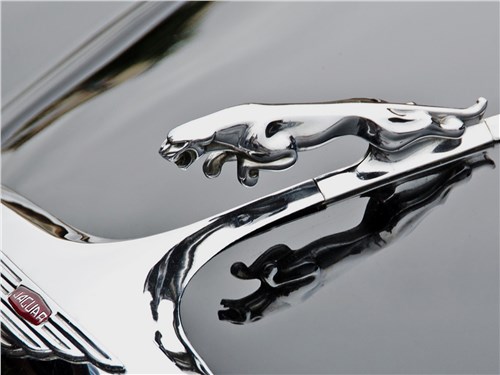 Эмблема Jaguar
