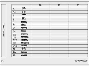 Водительские права нового образца начинают выдавать с сегодняшнего дня