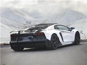 Mansory / Lamborghini Aventador 2014 вид сзади