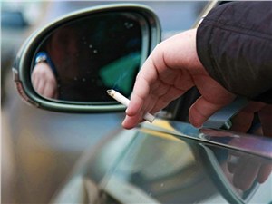 За выброшенный из машины мусор штрафовать не будут