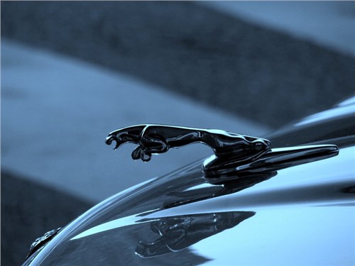 Продажи Jaguar на российском рынке в июне выросли более чем в два раза
