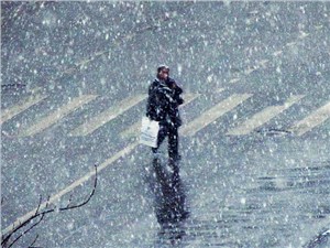 Лейтенант полиции сбил пешехода и будет уволен