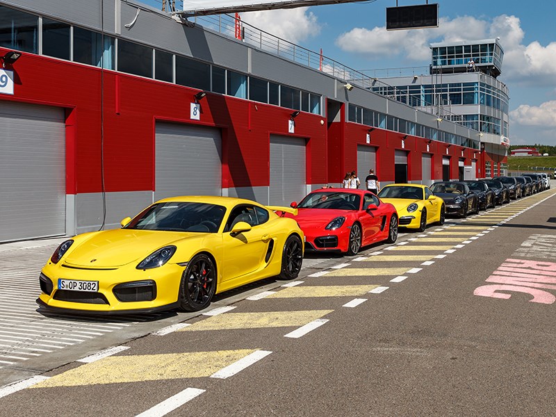 Porsche Macan, Porsche Cayenne, Porsche 911 Carrera - porsche world roadshow «поршики»