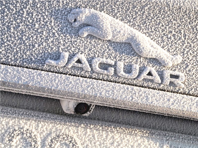 В Россию приехал новый Jaguar F-Pace