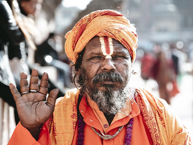 Индийский гость