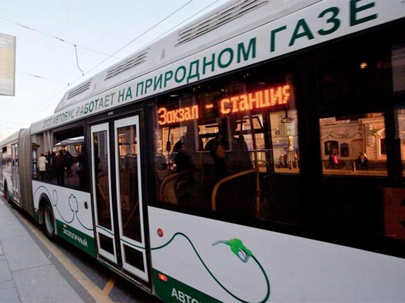 «Зелёный» Питерский автобус