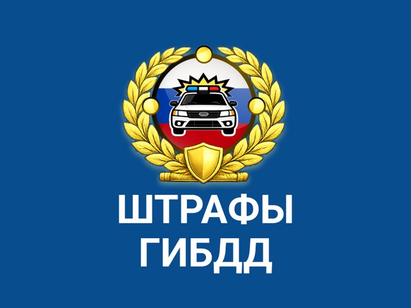 МВД распорядилось отменять штрафы водителям, стоявшим в очередях на заправках