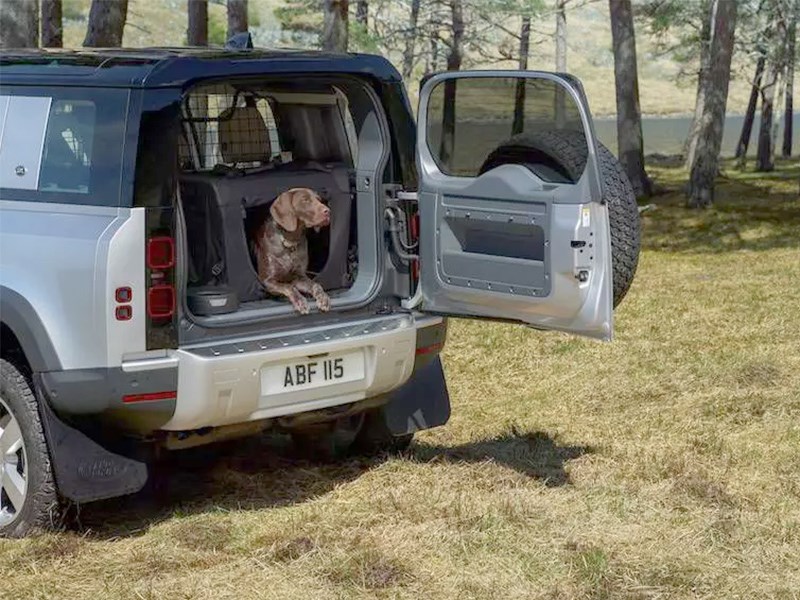 Jaguar Land Rover проводит испытания на собаках