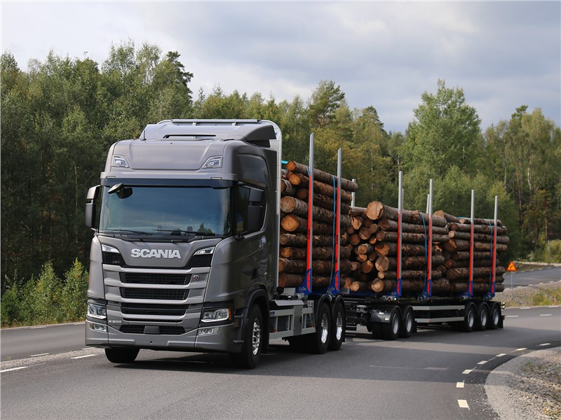 Scania S 2016 перевозка леса