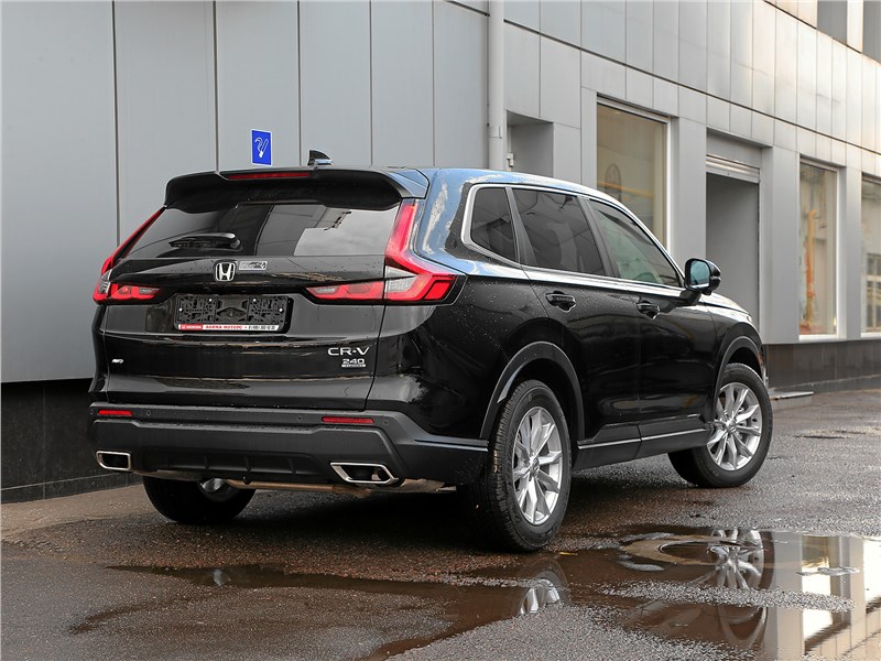 Honda CR-V (2022) вид сзади