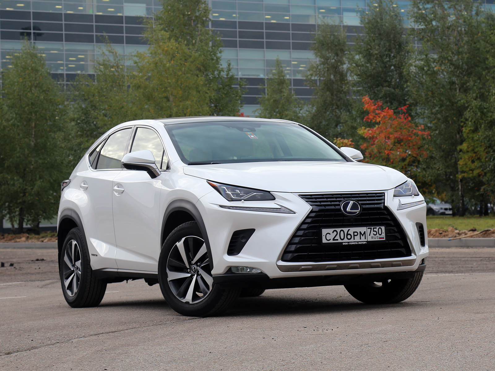 Lexus NX 300h 2019